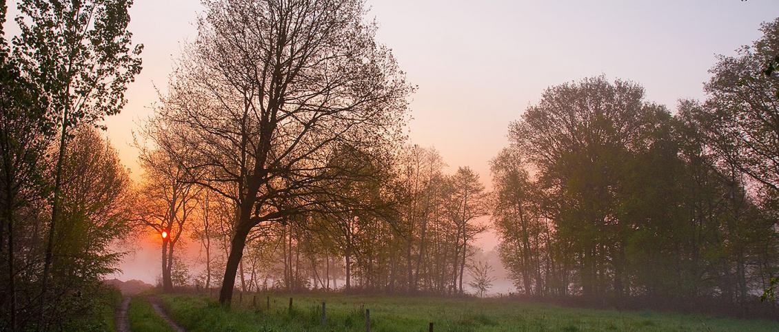 Wekelijkse wandeling