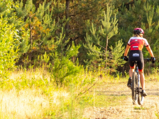 Bikepark banner