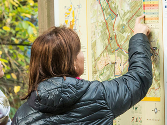 wandelen-banner-herfst.jpg