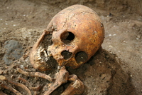 opgraving skelet
