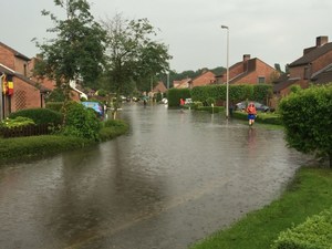 wateroverlast Drie-Eikenstraat