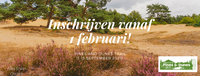pines-and-dunes-2020.png