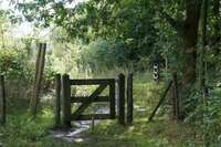 wandeltocht-bergerven.jpeg
