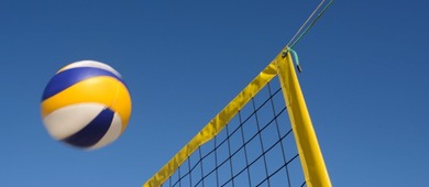 Volleybal Greenyard Maaseik