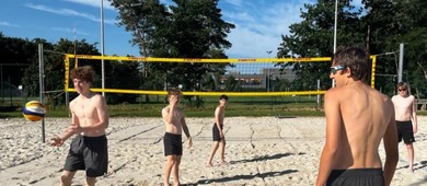 Volleybal Greenyard Maaseik