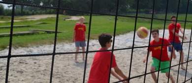Volleybal Greenyard Maaseik