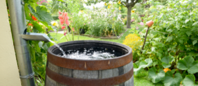Infosessie waterbeheer in de tuin