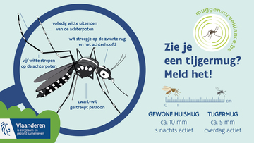 Wees muggen een steek voor