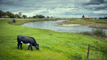 RivierPark Maasvallei dingt mee naar erkenning als Landschapspark