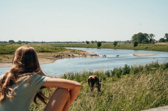 Zicht op de Maas vanaf de Labaerdijk